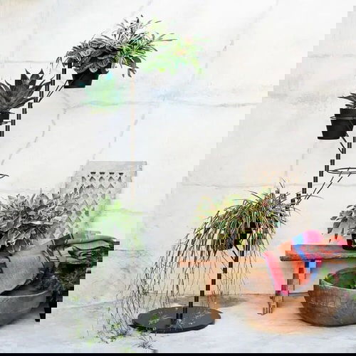 Plant Stand Design Ideas for Indoor Houseplants 8