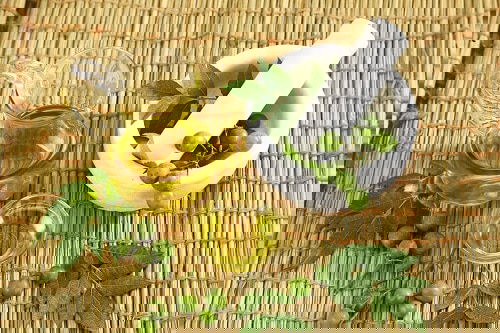 DIY Homemade Mosquito Repellant Ideas 6