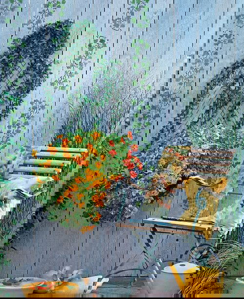 Best Hanging Basket Flowers 8