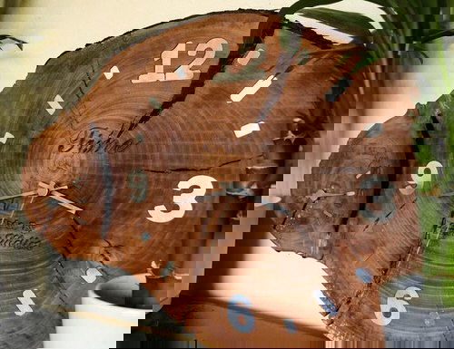 Creative Things to Do with Tree Stumps 40