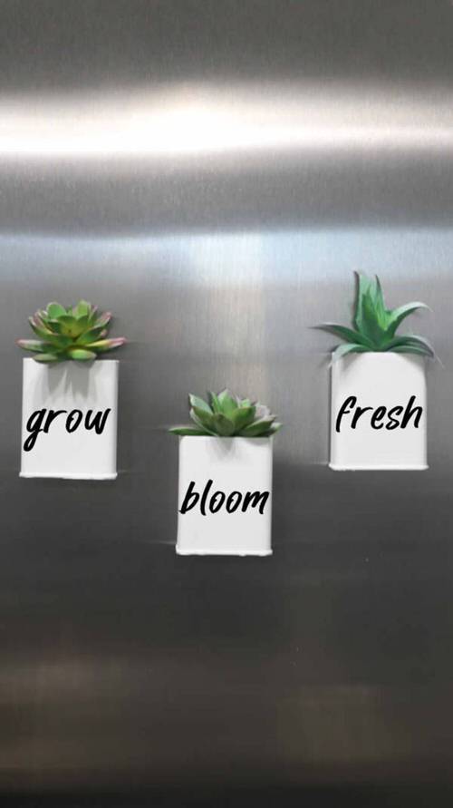 DIY Dollar Store Ideas 6