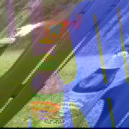 diy tiki torch ideas