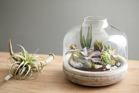 Mini Landscape Terrarium idea