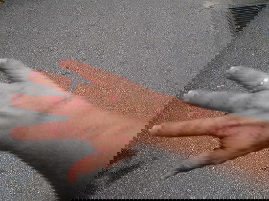 Clever Ways To Use Spices In The Garden 7