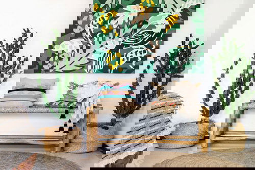 Different Types of Cactus Plants 17