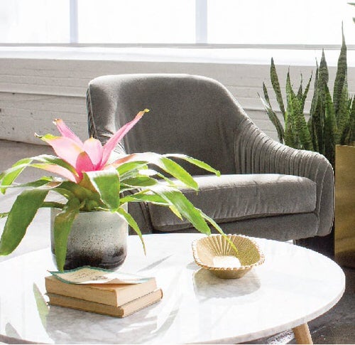 Table Decorating Ideas with Small Potted Houseplants 3