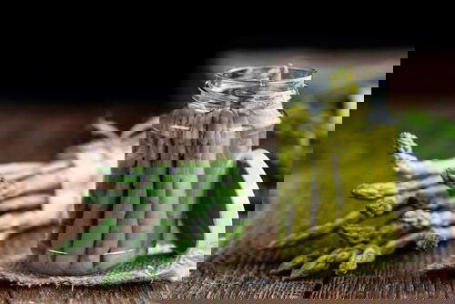 Best Plants and Trees You Should Grow for Homemade Pickles 6