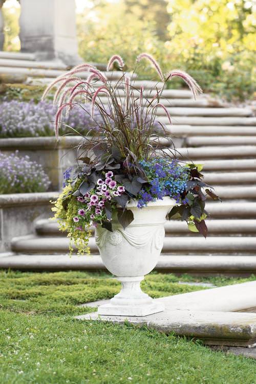 Container Gardening Arrangements