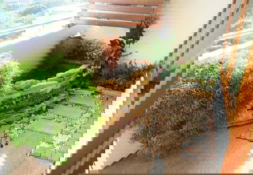 Ideas to Steal from Japanese Zen Garden 7