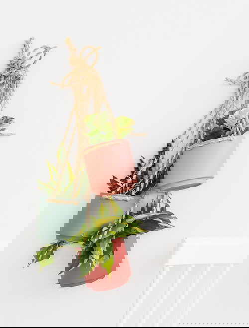 Make Your Own Hanging Garden