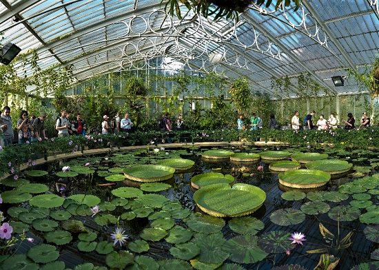 Best Botanical Gardens in the world