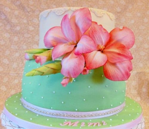 Edible Flowers for Cakes 4