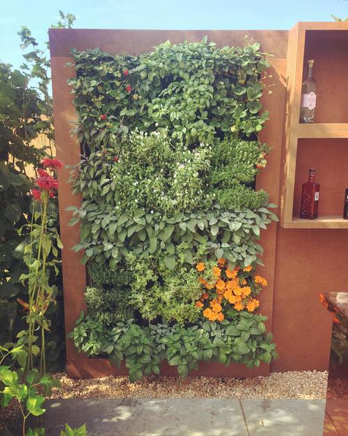 Edible Living Wall Ideas 5