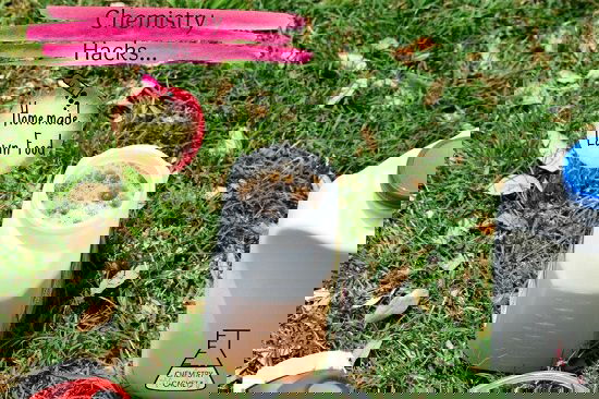 Homemade Liquid Fertilizer