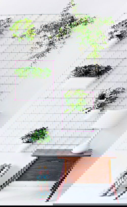 How IKEA Pots Change the Look of Indoor Plants 3