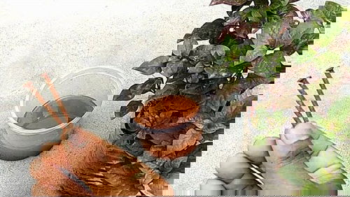 How to Use Common Household Things in Your Garden 4