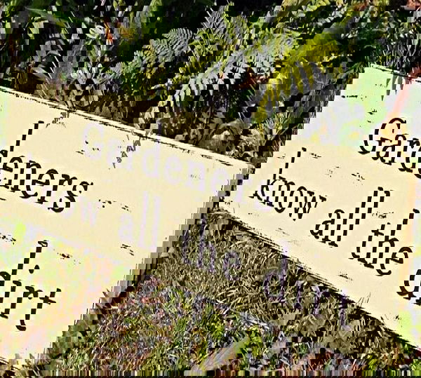 garden sign ideas (1)