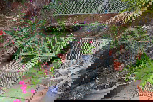 Beautiful Courtyard Garden Pictures 13