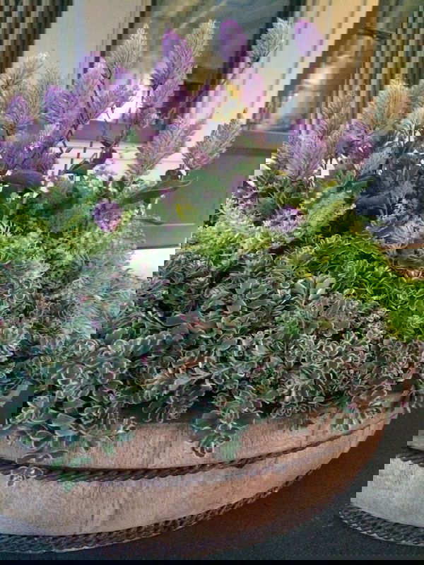 Container Gardening Arrangements 7