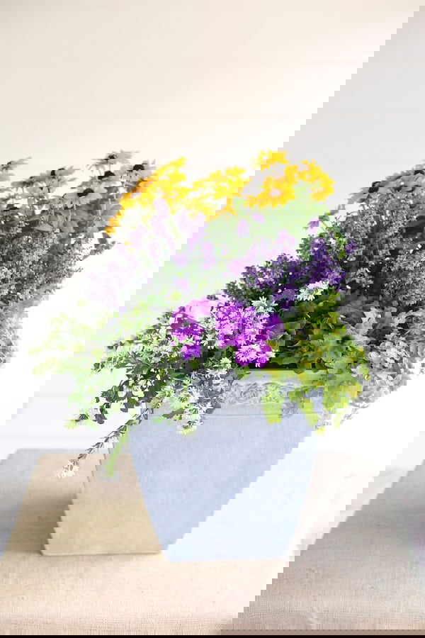 Container Gardening Arrangements 9