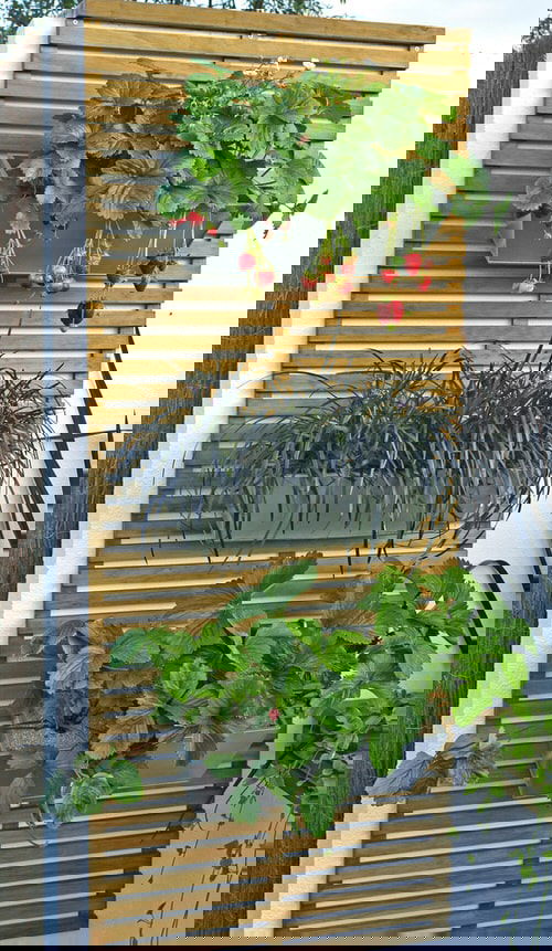 Edible Living Wall Ideas