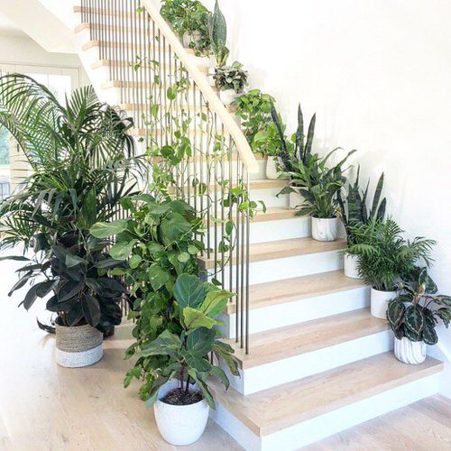 Indoor Garden on the Staircase 11