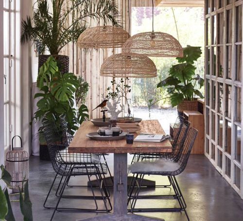 Indoor Plants Dining Room DÃ©cor Ideas 20