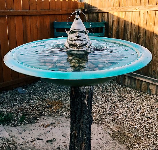 Diy bird bath ideas
