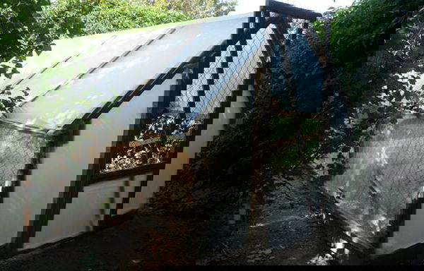 how-to-build-a-greenhouse