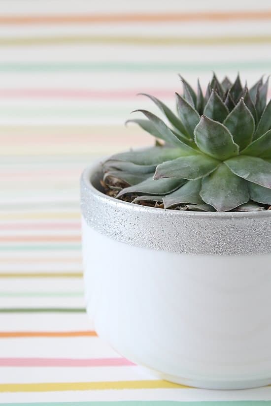 DIY Silver Planter Ideas that are best for all plants