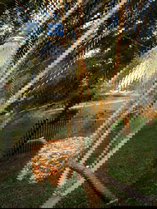 Kid-friendly Ideas for Gardens and Backyards 6