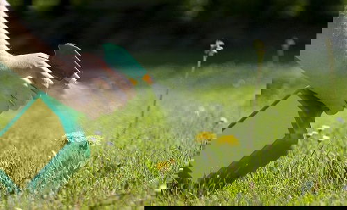 Homemade Weed Killer Ideas 8