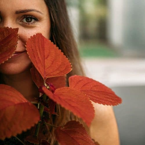 Houseplants for Girls Room 7