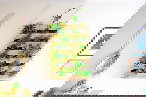 Smart Miniaturized Indoor Garden Projects