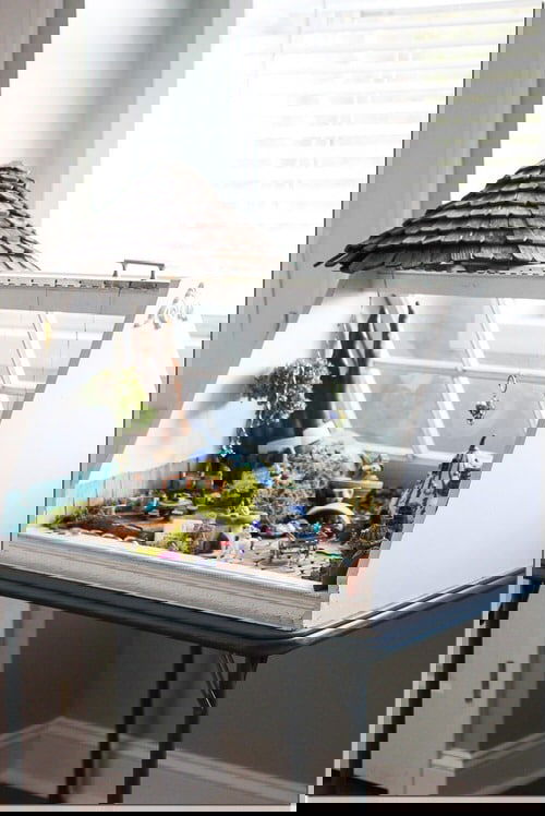 DIY Miniature Fairy Garden Ideas 10