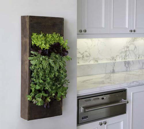 Smart Miniaturized Indoor Garden Projects 8