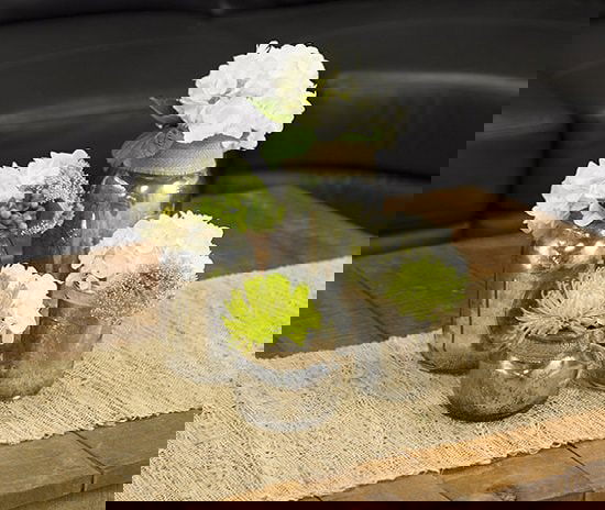 DIY Silver Planter Ideas you need to try