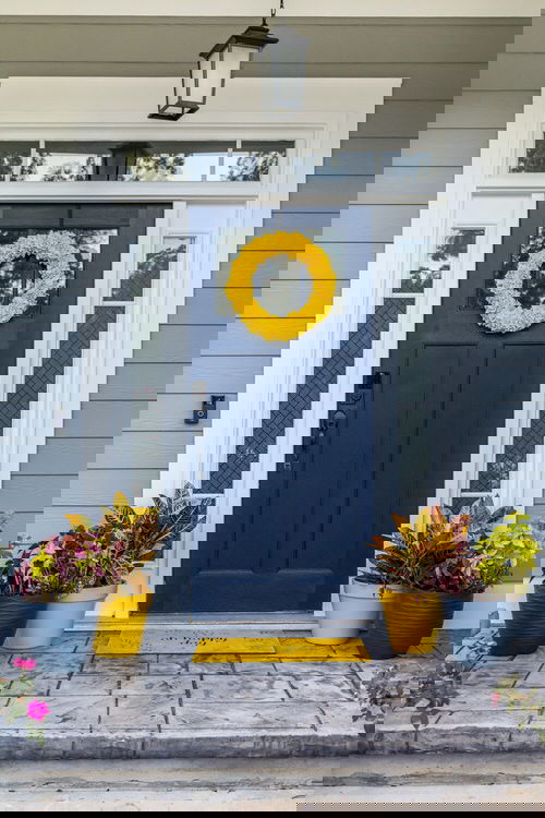 Best Entrance Plants Pictures 4