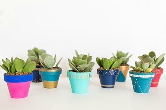 Overly Cute DIY Mini Planters for Succulents that are cool