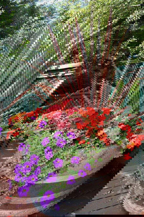 Learn about 17 Best DIY Wine Barrel Planter Ideas that are timeless and suit any planting styles.