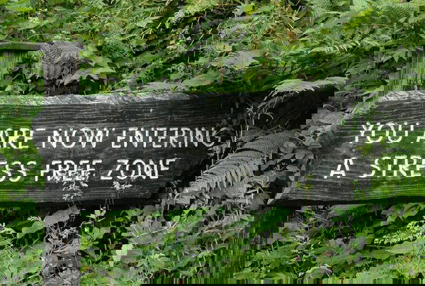 garden sign ideas (4)