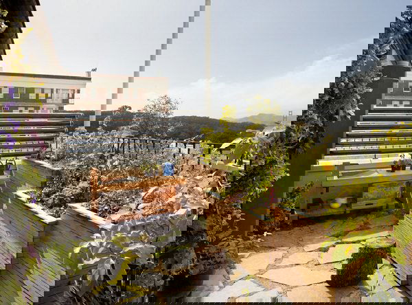 terrace garden tips 13