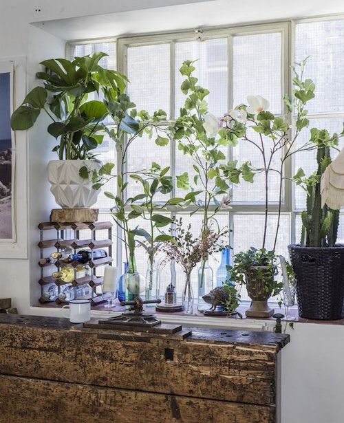 Windowsill Decor Ideas with Plants 15