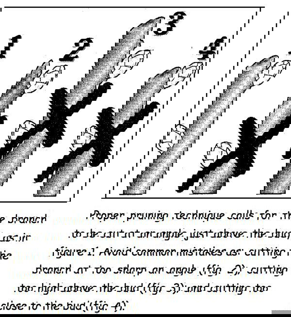 fbb1fd7148ae320ba3cabdf3af745948_mini