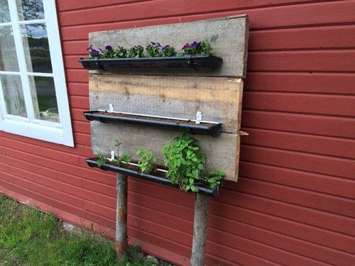 DIY Herb Wall Ideas 7