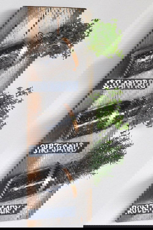 DIY Herb Wall Ideas 4