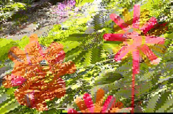 Plastic-Bottle-Crafts