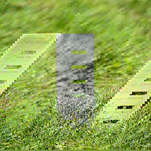 Father's Day Garden Gift Ideas 22