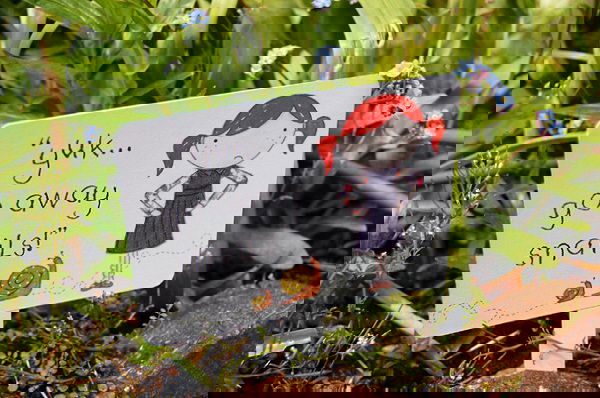 garden sign ideas 17