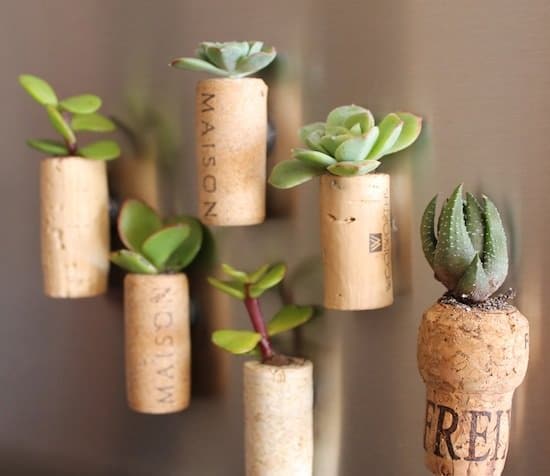 Overly Cute DIY Mini Planters for Succulents for gifts